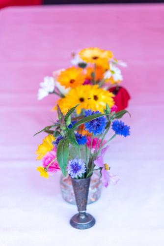 DSC6770 (1)